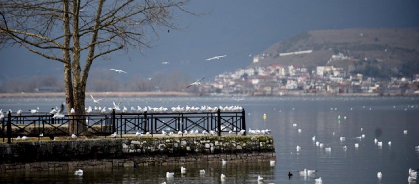 Υπέροχες φωτογραφίες της λίμνης των Ιωαννίνων μέσα στο καταχείμωνο